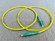 APC  pigtail