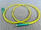APC  pigtail